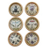 Vintage Style Animal and Botanical Magnets, Set of 6 - Freshie & Zero Studio Shop