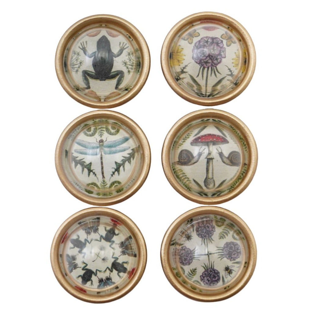 Vintage Style Animal and Botanical Magnets, Set of 6 - Freshie & Zero Studio Shop