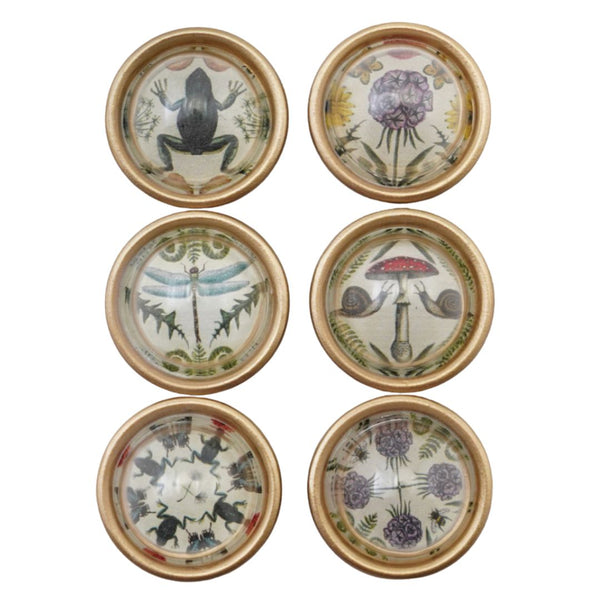Vintage Style Animal and Botanical Magnets, Set of 6 - Freshie & Zero Studio Shop