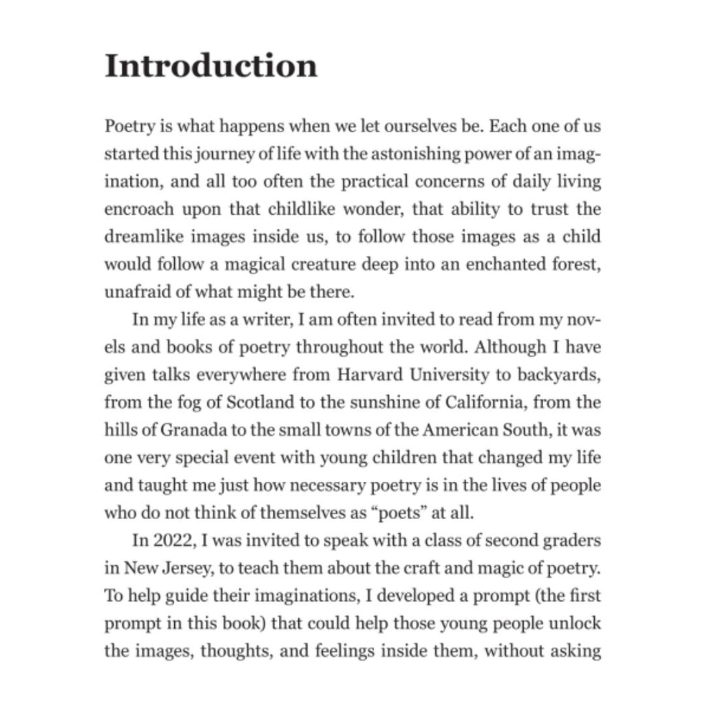 The Magic Words, Fill-In Poetry Prompts by Joseph Fasano - Freshie & Zero Studio Shop