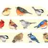 Backyard Birds Washi Tape - Freshie & Zero Studio Shop