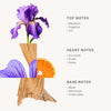 Iris Roll On Perfume - Freshie & Zero Studio Shop