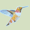 Hummingbird Sticker by Katie Daisy - Freshie & Zero