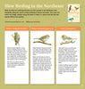 Slow Birding: Enjoying the Birds in Your Own Backyard - Freshie & Zero Studio Shop