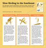 Slow Birding: Enjoying the Birds in Your Own Backyard - Freshie & Zero Studio Shop