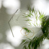 minimal hoops - small circles - Freshie & Zero Studio Shop